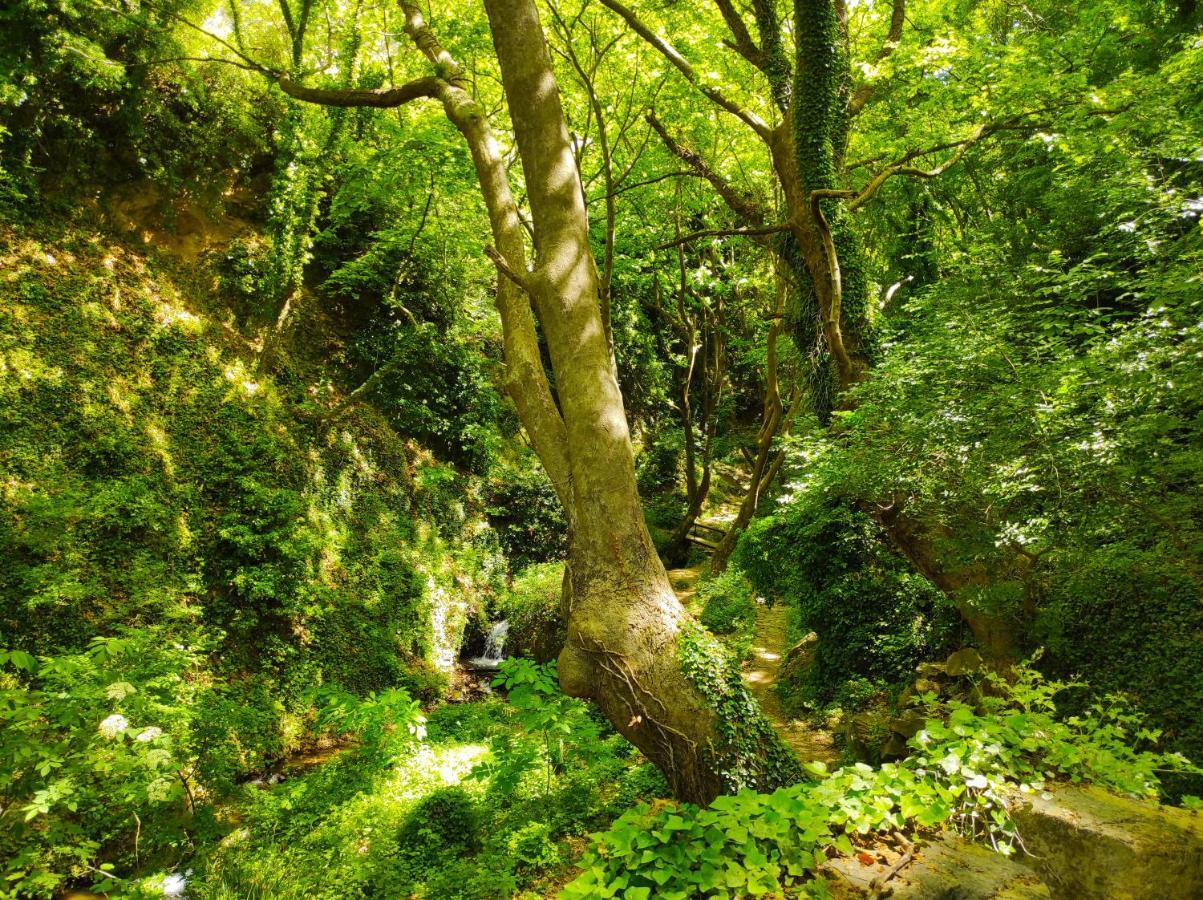 Stagiates House Villa Dış mekan fotoğraf
